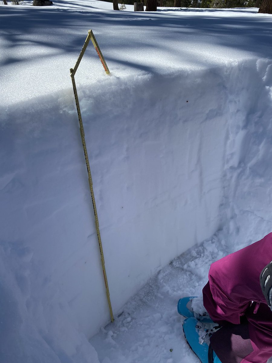 jack_tarricone's tweet photo. Spent the day at @SagehenCreekFS collecting snow depth and density data for the @airbornesnow flight in the Truckee River basin yesterday. Spring is upon us in the Sierra.

@crpiske @snownolin @NV_Mtn_Ecohydro https://t.co/svhlvXQcTw