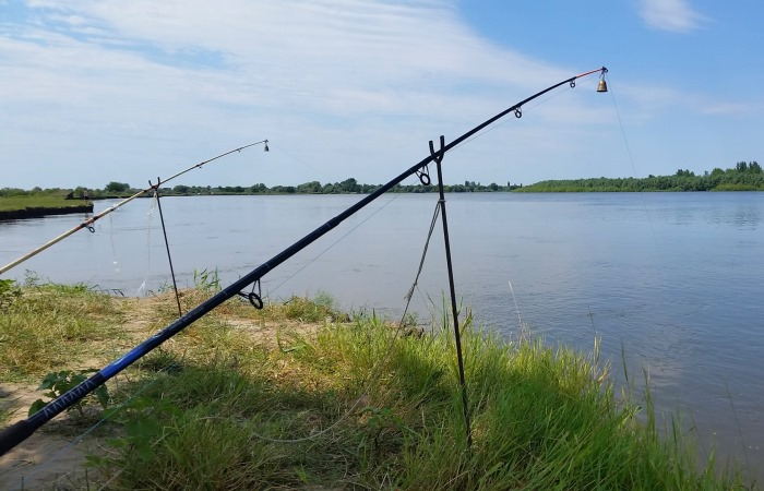 fishmanual's tweet photo. Что нужно знать, планируя рыбалку на обычную донку!?
https://t.co/vhtEn4ZFCd

#рыбалка #Фишмануал #донка #рыбалканадонку #какловитьрыбунадонку https://t.co/jpvOTVUAFl