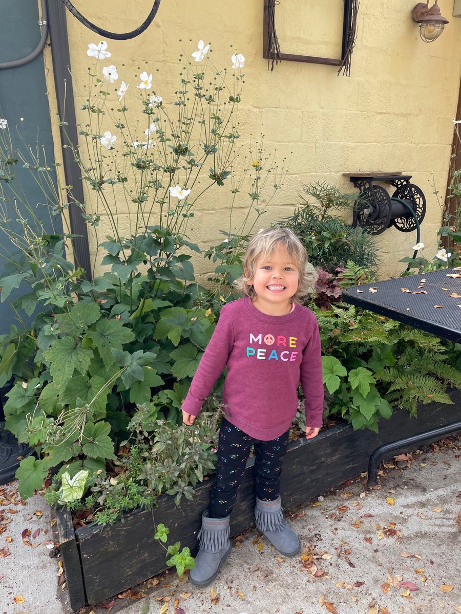 KarenWeekly's tweet photo. Willow and Penn are both 4 years old and battling leukemia. They need your help to find a cure. Please donate to my LLS campaign and let’s beat blood cancer!  https://t.co/rtHvmuhNGJ https://t.co/44CtTynKxi