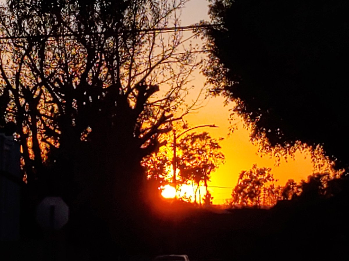 ryanfoland's tweet photo. Some fun pics I took on our Friday evening walk.

I saw nature being artistic.

It was refreshing to get away from the computer screen!

#FridayVibes https://t.co/Enmb1E1Uzb