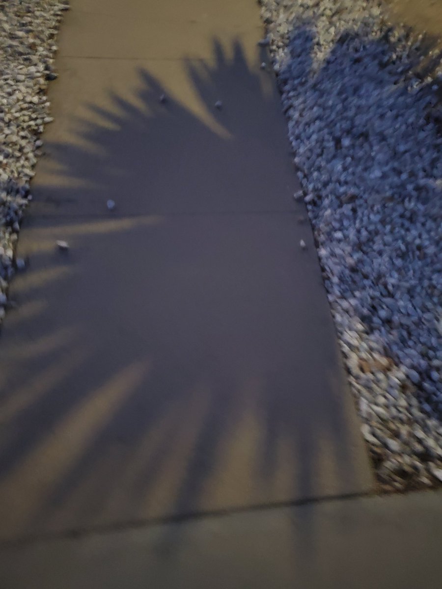 ryanfoland's tweet photo. Some fun pics I took on our Friday evening walk.

I saw nature being artistic.

It was refreshing to get away from the computer screen!

#FridayVibes https://t.co/Enmb1E1Uzb