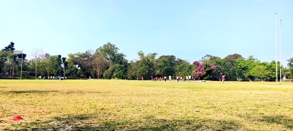 chirpycrow's tweet photo. Saturday morning....this place, this lot!
#CrowField #JungleCrows https://t.co/gByNTffQ2W