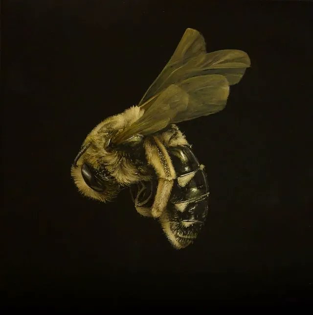 BeautifulBzarre's tweet photo. Bees - tiny creatures with such a big job. Beautiful painting by Brad Woodfin.

« Lulls »
16in x 16in
Oil on panel
2021

#beautifulbizarre #savethebees #bee #contemporaryart #contemporarypainting #bradwoodfin #lulls #nature #insects #animlaart https://t.co/fojPUWPqnh