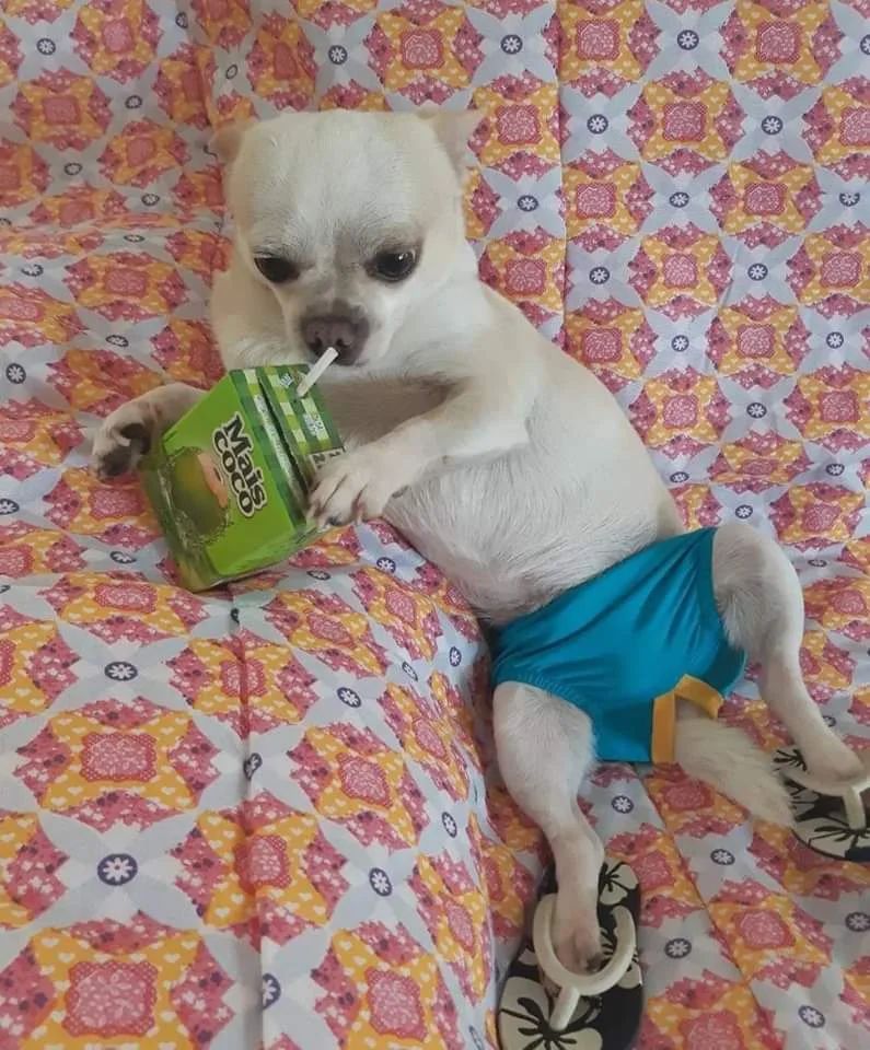 Está bueno el calor!! 

Se dice el calor o la calor? 

Y si abrimos todos nuestro frigorífico unos cuantos segundos podríamos disminuir un rato el calentamiento global? 

Muchas dudas pocas respuestas. 
Sorbito**