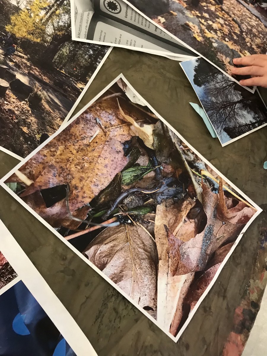 UVic Child Care Services (@uvic_ccs) on Twitter photo <a href="/UVic_CCS/">UVic Child Care Services</a> children's message for <a href="/UVicLib/">UVic Libraries</a> staff "We want to take photos of Yard creatures. Can you help us?"
We're hoping to borrow a camera to document inquiry moments re: the life & politics of Yard relations at our centre. See you next week to chat about possibilities! #ECE <a href="/UVic_CCS/">UVic Child Care Services</a> children's message for <a href="/UVicLib/">UVic Libraries</a> staff "We want to take photos of Yard creatures. Can you help us?"
We're hoping to borrow a camera to document inquiry moments re: the life & politics of Yard relations at our centre. See you next week to chat about possibilities! #ECE