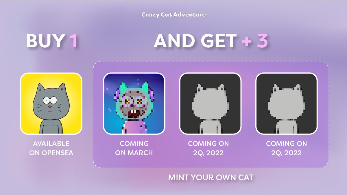 CrazyCatAdventure(미고탐) tweet media