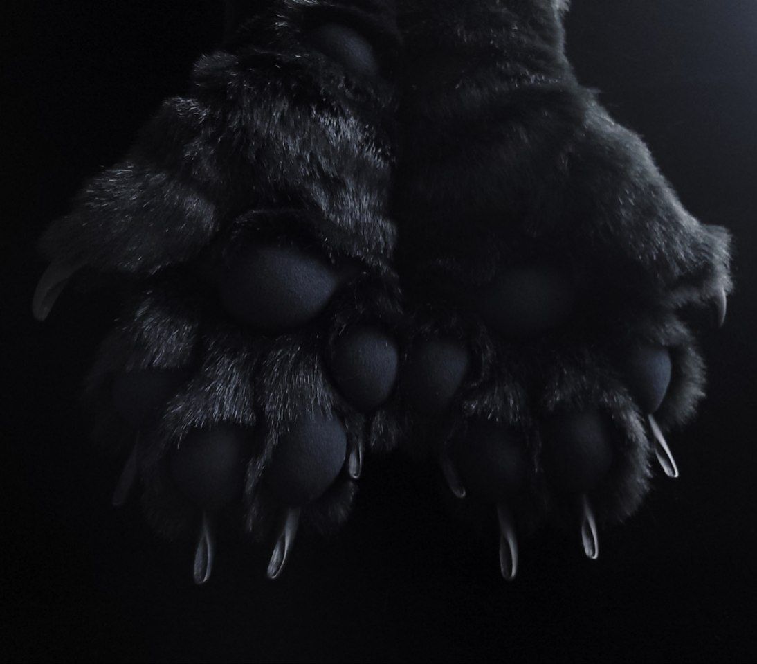 FoxfireFantasy's tweet photo. 🖤 These paws are my new obsession 🖤 https://t.co/38c0dHBFBO