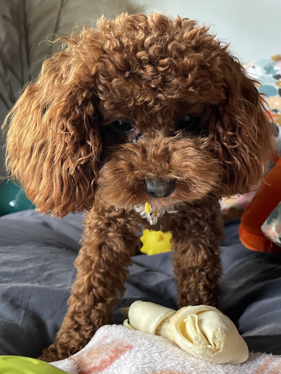 James Wigney tweet media