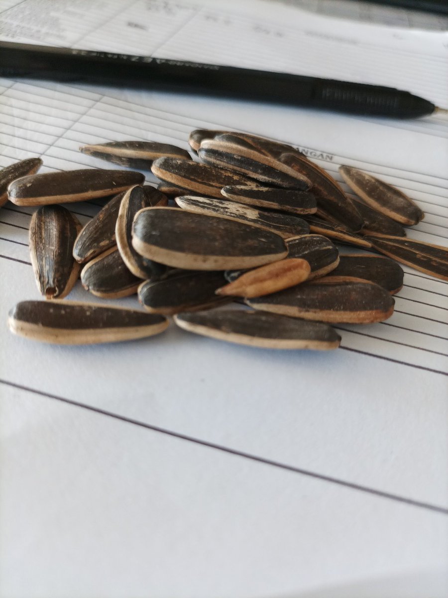 Conversion, software ver 7.0
Eating seeds as a pastime activity #toxicmedia #toxicity