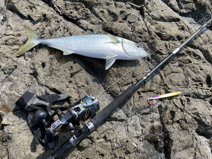 グランデージアトラス100h グランデージアトラス100H 【公式通販】