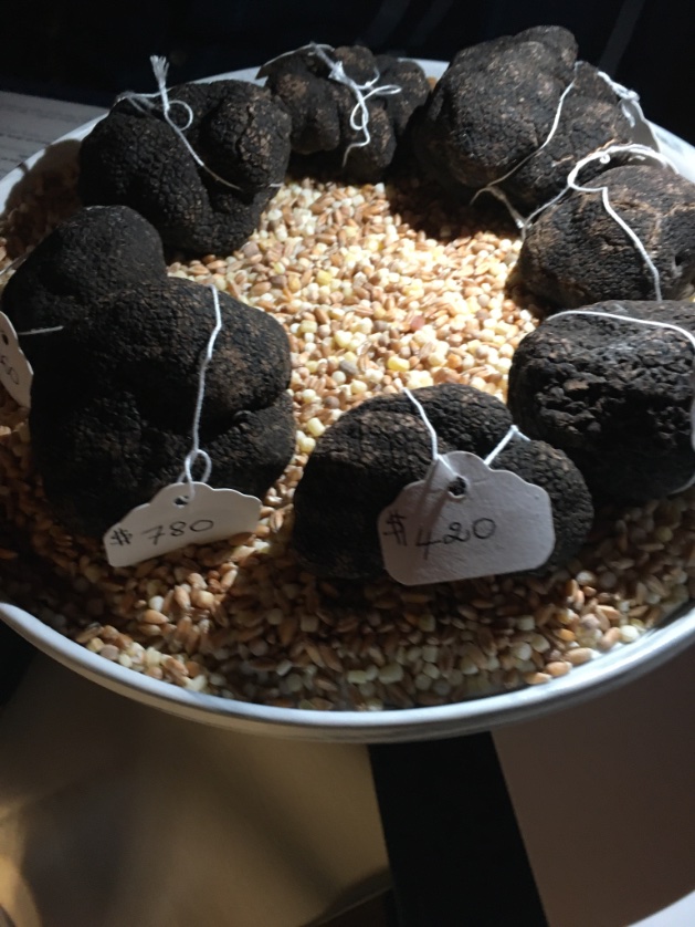 AndoniaPR's tweet photo. Ah Bagatelle #Miami #ritzcarlton #trufflin https://t.co/oP7hCphe8w