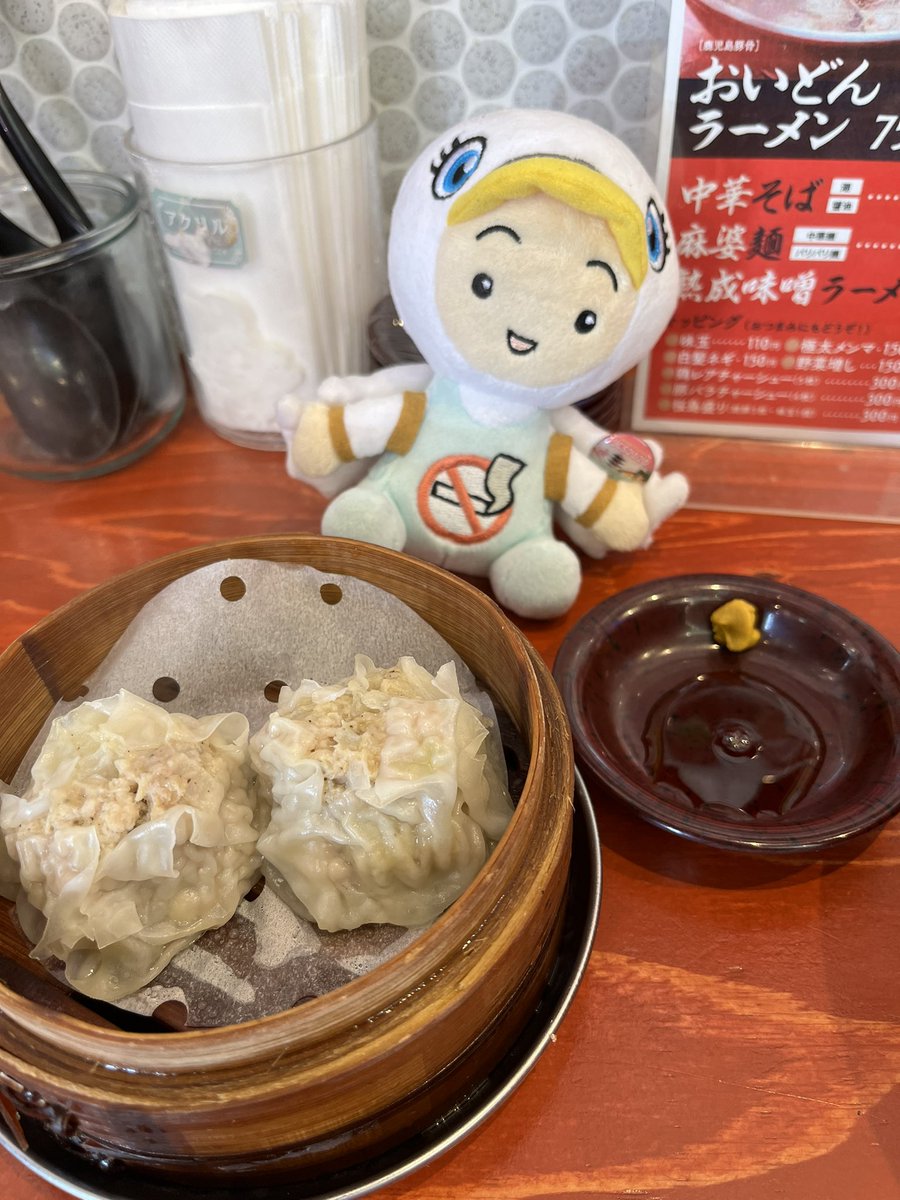 taora_bokujun's tweet photo. 神戸といえば中華街！チビすわん君とランチです。＃ブラシバタ　＃ランチョン
#22JCS by日循ｻﾎﾟｰﾀｰ https://t.co/l075TbPig2