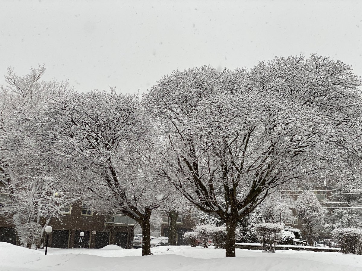 nurserhey's tweet photo. @blogTO Beautiful Thing ❄️ https://t.co/Kij89EDAcp
