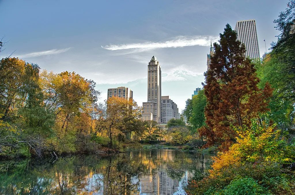 IdealDrapes's tweet image. New York City borough presidents unite calling for a million trees | buff.ly/3viyowk
