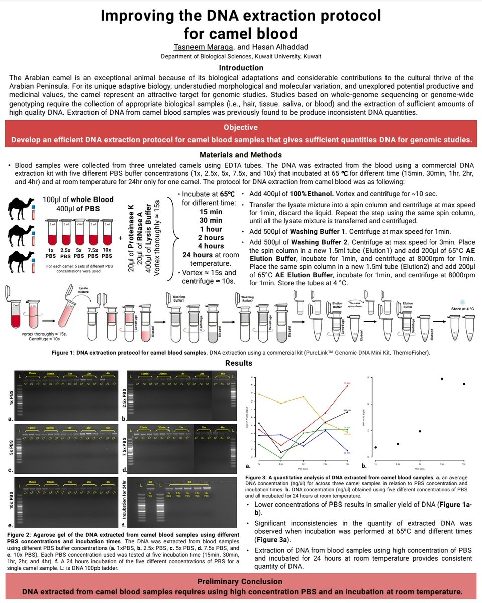 Jamalid_Report's tweet photo. مشاركة تسنيم مرقة بيوم الملصق العلمي في جامعة الكويت
 for the love of ~🐪🐪🐪🐪🐪 
#posterday #scientific_posters  #kuni #kuwaituniversity #kuwaituni #dromedarycamel  #camel #dromedarycamel #dromedary #الجمل #جمال #جمل_وحيد_السنام #جملات #الكويت #جامعة_الكويت #الملصق_العلمي https://t.co/gSdb25mIrZ