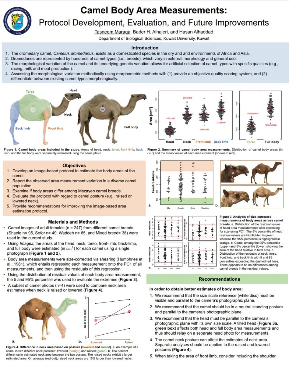 Jamalid_Report's tweet photo. مشاركة تسنيم مرقة بيوم الملصق العلمي في جامعة الكويت
 for the love of ~🐪🐪🐪🐪🐪 
#posterday #scientific_posters  #kuni #kuwaituniversity #kuwaituni  #kuwait #dromedarycamel  #camel #dromedarycamel #dromedary  #جمال #جمل_وحيد_السنام #جملات #الكويت #جامعة_الكويت #الملصق_ال��لمي https://t.co/BxppFa6e5R