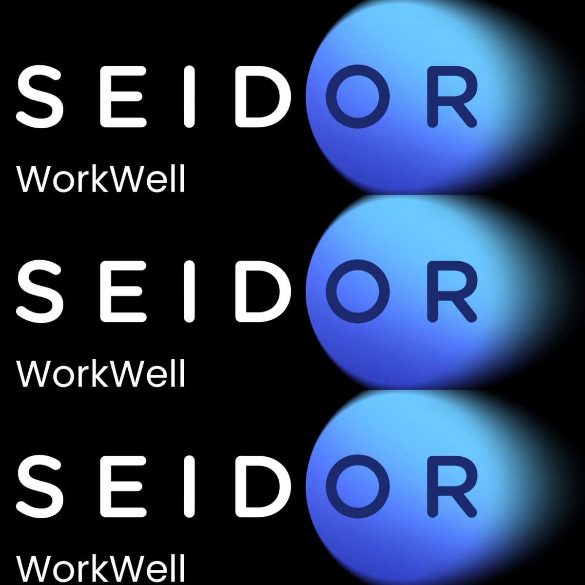 SEIDOR WORKWELL tweet media