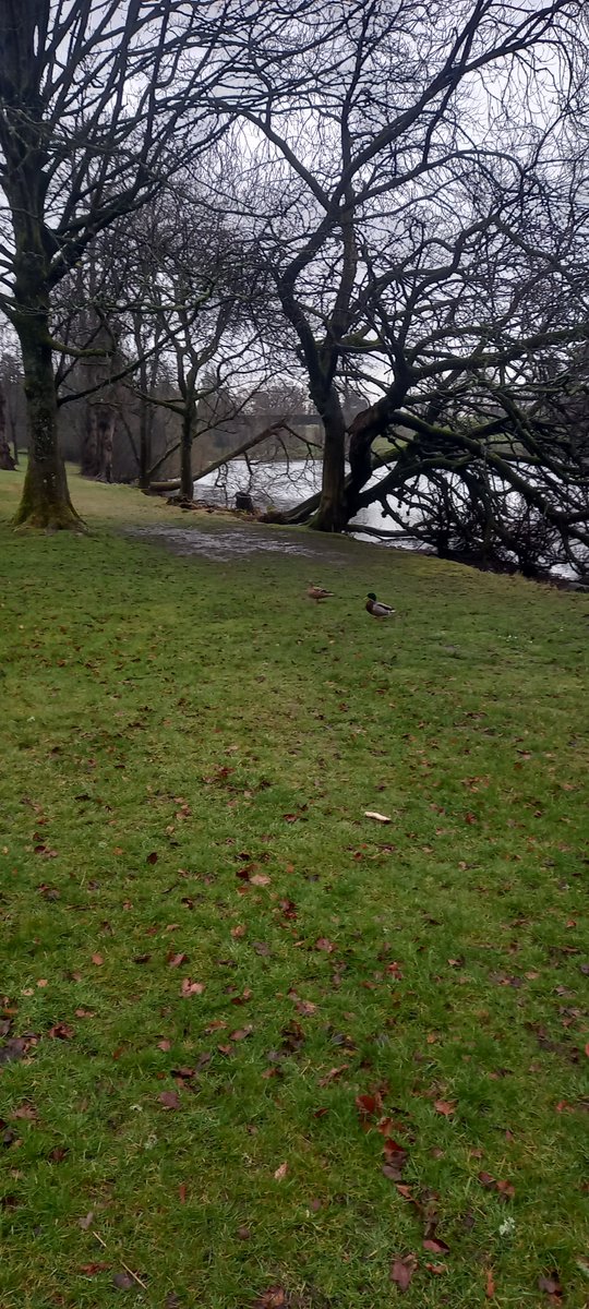 FWP Community Around the School tweet media