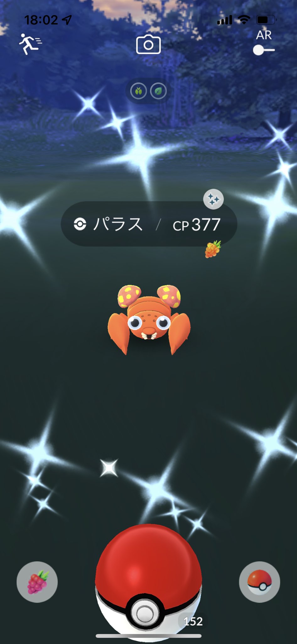 パラス Twitter Search Twitter