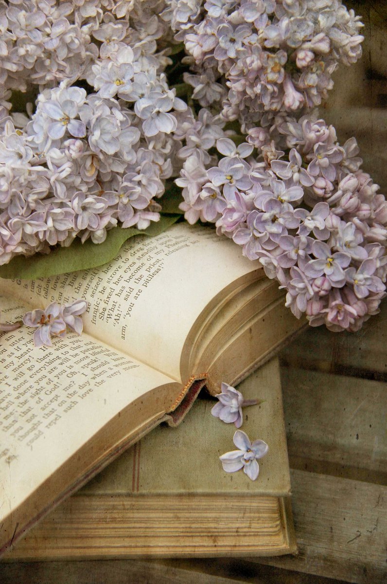 Год в цветах книга. Книга цветы. Красивые книги. Сирень и книга. Книги о цветах.