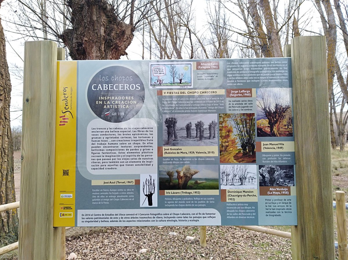 PCChopoCabecero's tweet photo. Una ruta temática dedicada al interés cultural de los chopos cabeceros. Etnobotánica, literatura, pintura, escultura, historia...
En Galve (Teruel) https://t.co/q2c3CoxCHg