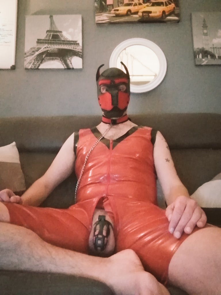 BrumSub82's tweet photo. @GayChastityRTs @Pup_Ulysses @pup_daxx @thecoachpup @BetaPup94 Being a good locked up for @papidomcan https://t.co/fifwo3c5OR