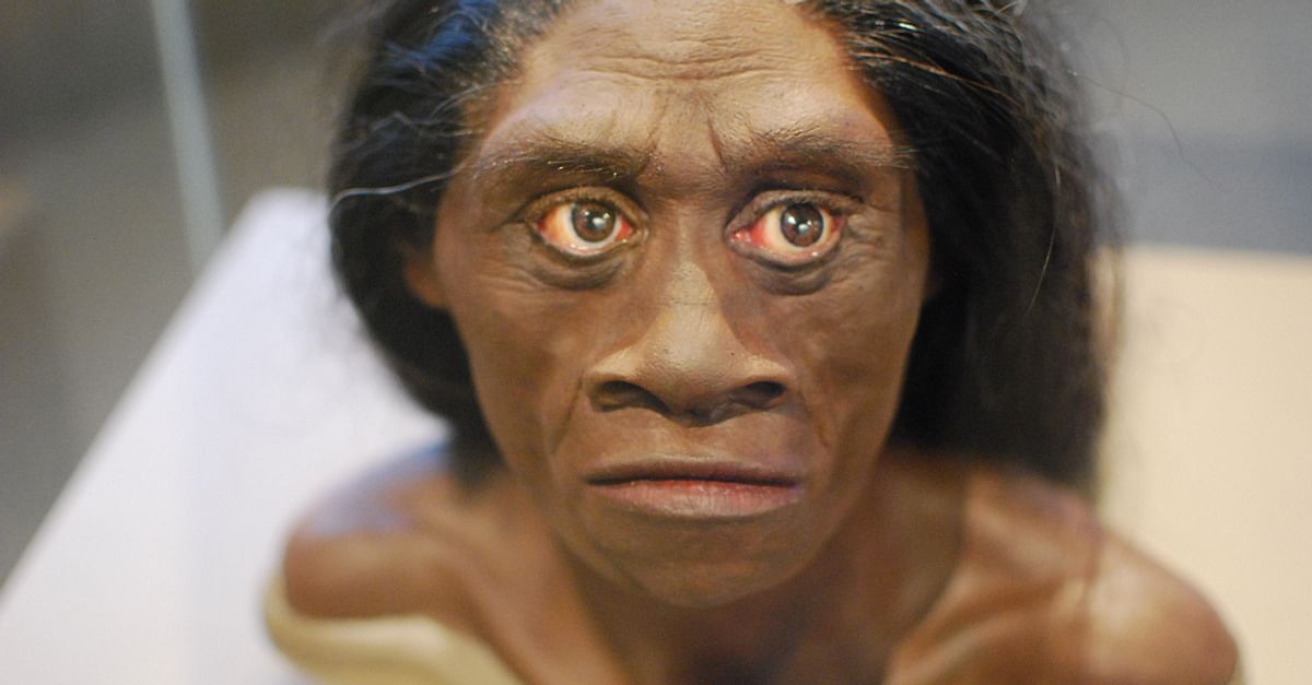 Des preuves récentes suggèrent que les Homo floresiensis étaient beaucoup plus anciens que ce que nous pensions. Il y a beaucoup de choses que nous ne savons pas encore sur cette lignée d'humains
buff.ly/3JjlKkI