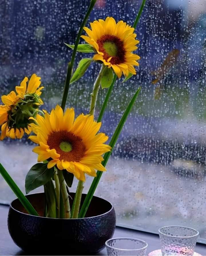 KFenerli81's tweet photo. ⚘Şiirler ağlar yokluğunda.
Kimsesiz dizelerim ağıt yakar.
Duyulmayan bir sestir feryadım
İçten içe kanayıp yaralayan.
Ey  hazan çiçeği.
Hangi hüzün savurdu seni 

Şimdi ben sensiz bu yeryüzünde.
Neyine sevineyim yaşadığımın
Nereye baksam derin bir keder.
Senden Sonra yüreğimde. https://t.co/Btbx6RHH0J