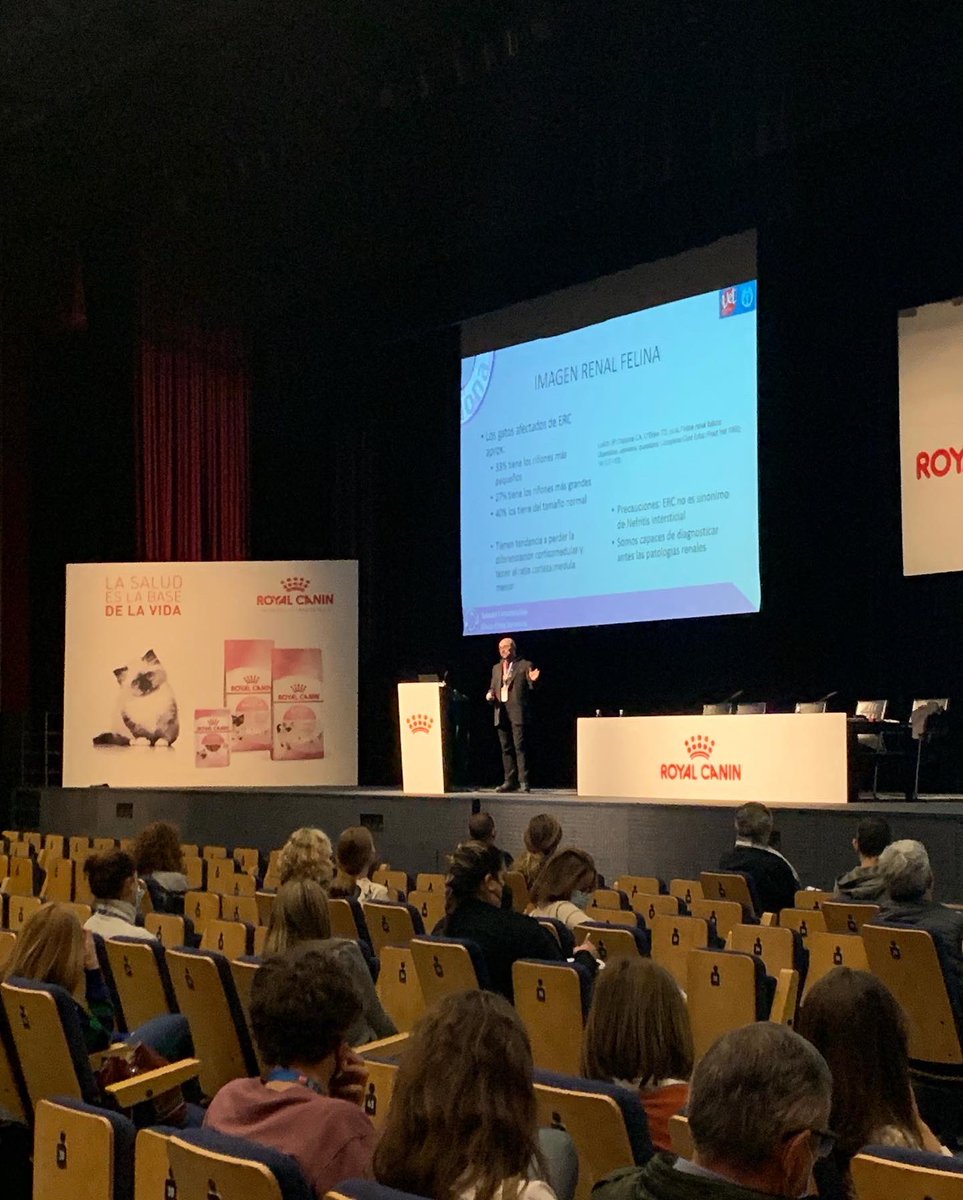 amvac_vet's tweet photo. Congreso Veterinario y Congreso de ATV a tope hoy sábado en edición presencial y streaming. Formación especializada y del más alto nivel en #Vetmadrid2022 👍 https://t.co/d4QzuR2bfx