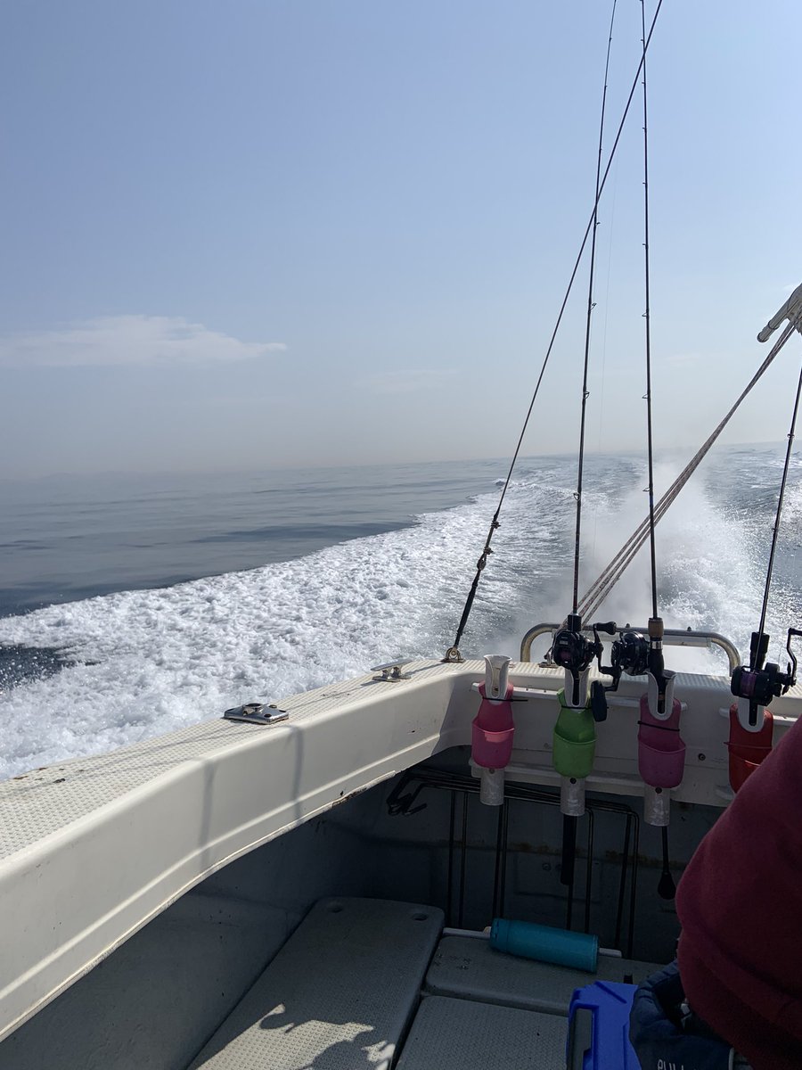 yta89's tweet photo. 今日もボウズ。魚の釣り方教えて下さい https://t.co/OXo2gFBgrC