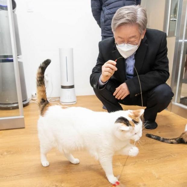E_ssentialist's tweet photo. 야옹이 여러분께🐱 https://t.co/AA46JfxzpV