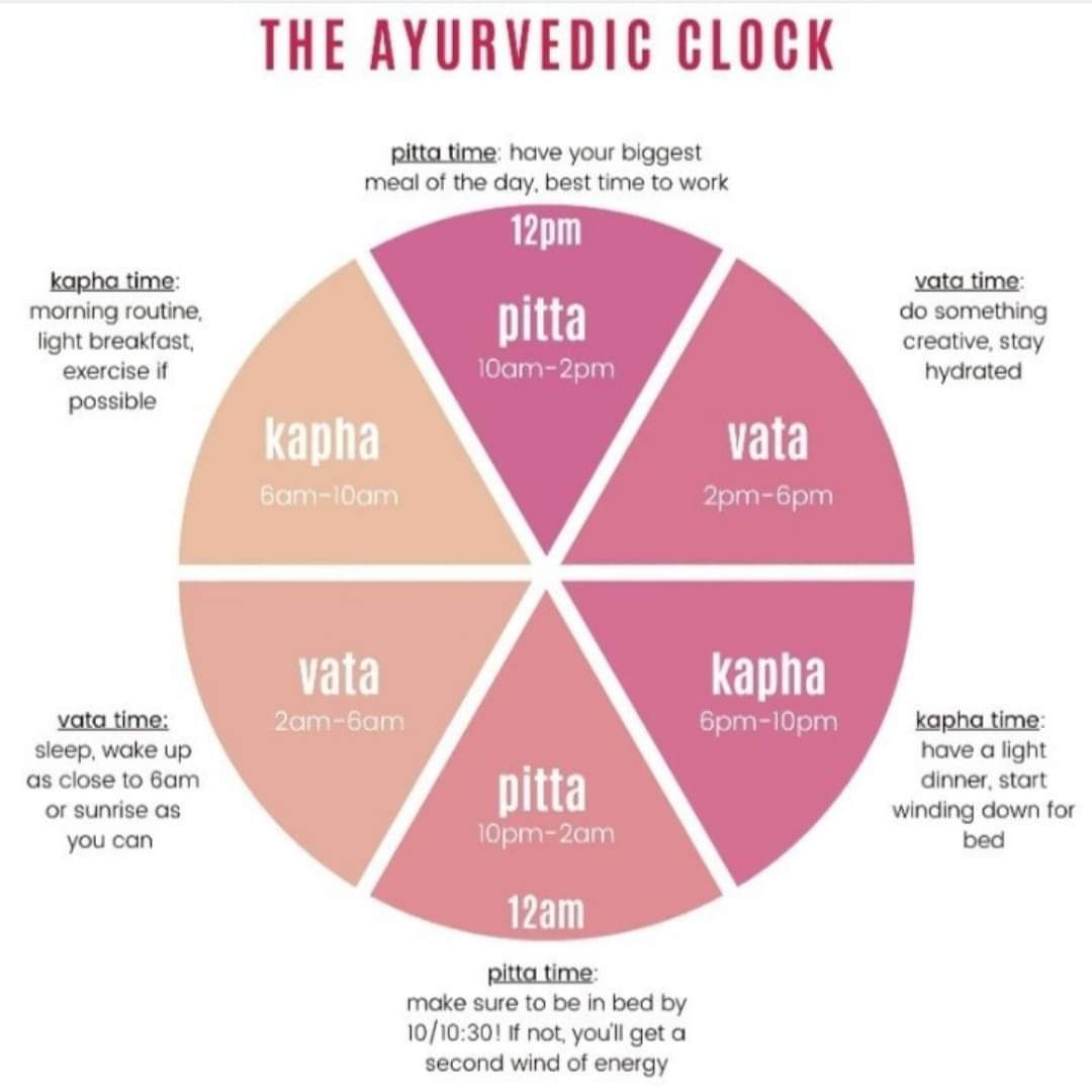 The Ayurvedic Clock is essentially what modern science now calls our biological clock, or body clock, and is linked to how our genes and hormones operate. For more information visit our Website harithaayurveda.com #ayurvedalife #ayurvedaindia #ayurvedalifestyle