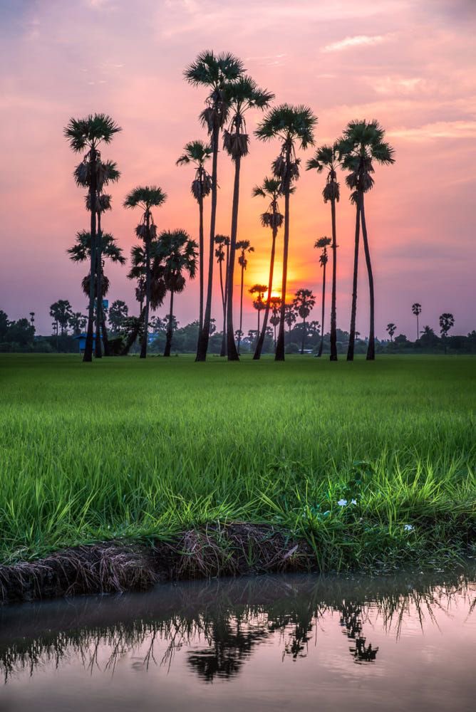 leotanapon007's tweet image. บางทีเราก็ไม่ต้องการอะไรมากนอกจาก.        “ความสบายใจ”😊 ———————————————~
#คําคม #คําคมชีวิต #คําคมความรู้สึก 
#แคปชั่น #แคปชั่นเด็ด #แคปชั่นเศร้า 
#ธรรมชาติบําบัด #หลงรักนักเดินทาง💚