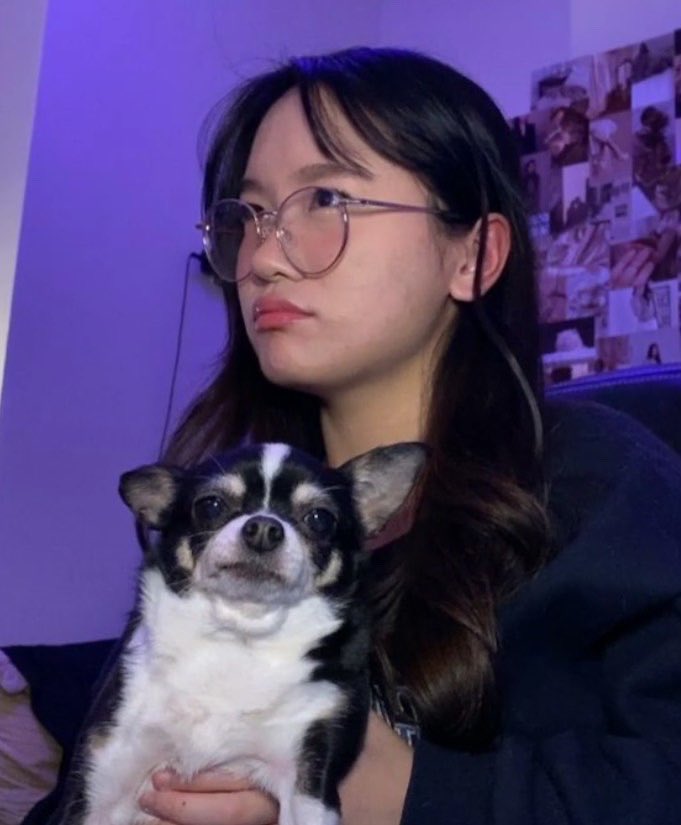 laurathesimp's tweet photo. my dog has taken over my stream @kizzyster https://t.co/StILZFDMQ8