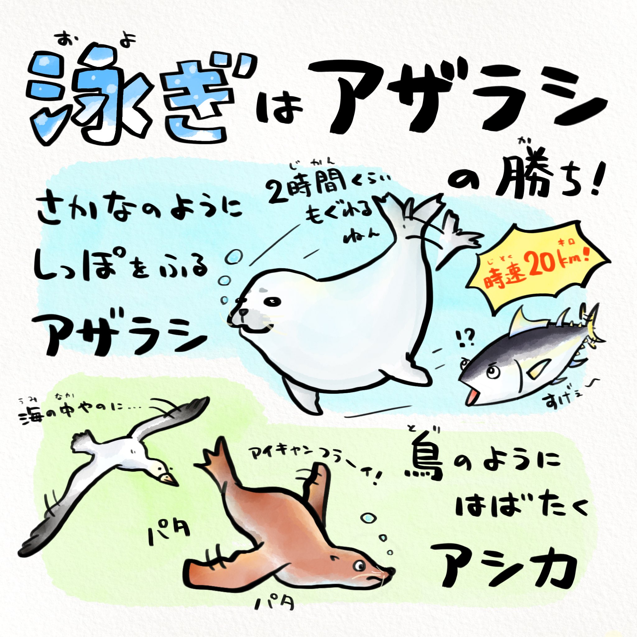 よっこ Yokko0x0 Twitter