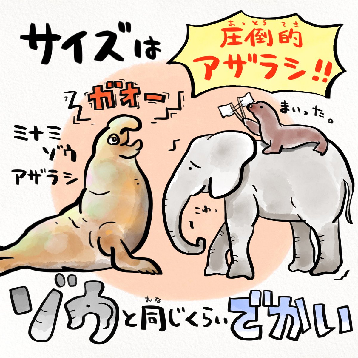 アシカとアザラシの見分け方は泳ぎ方, image size:1200x1200