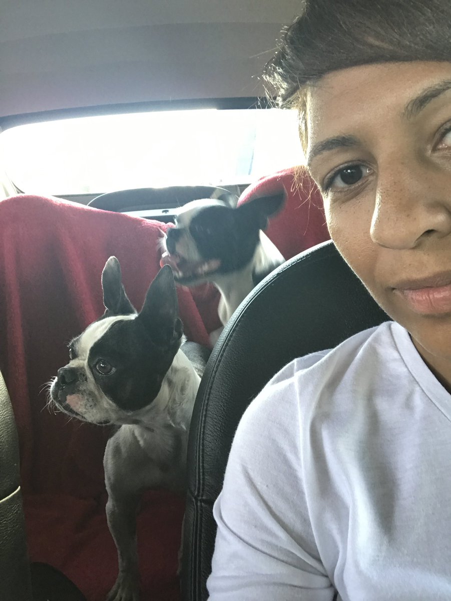 nas_diva's tweet photo. This morning a piece of the purest love I’ve ever known went to Heaven 💔 My little Archie The gentleman and cutest Boston Terrier that ever lived! I miss you already by bitter old man 💔💔💔😭😭😭 https://t.co/OSEADZxwSQ