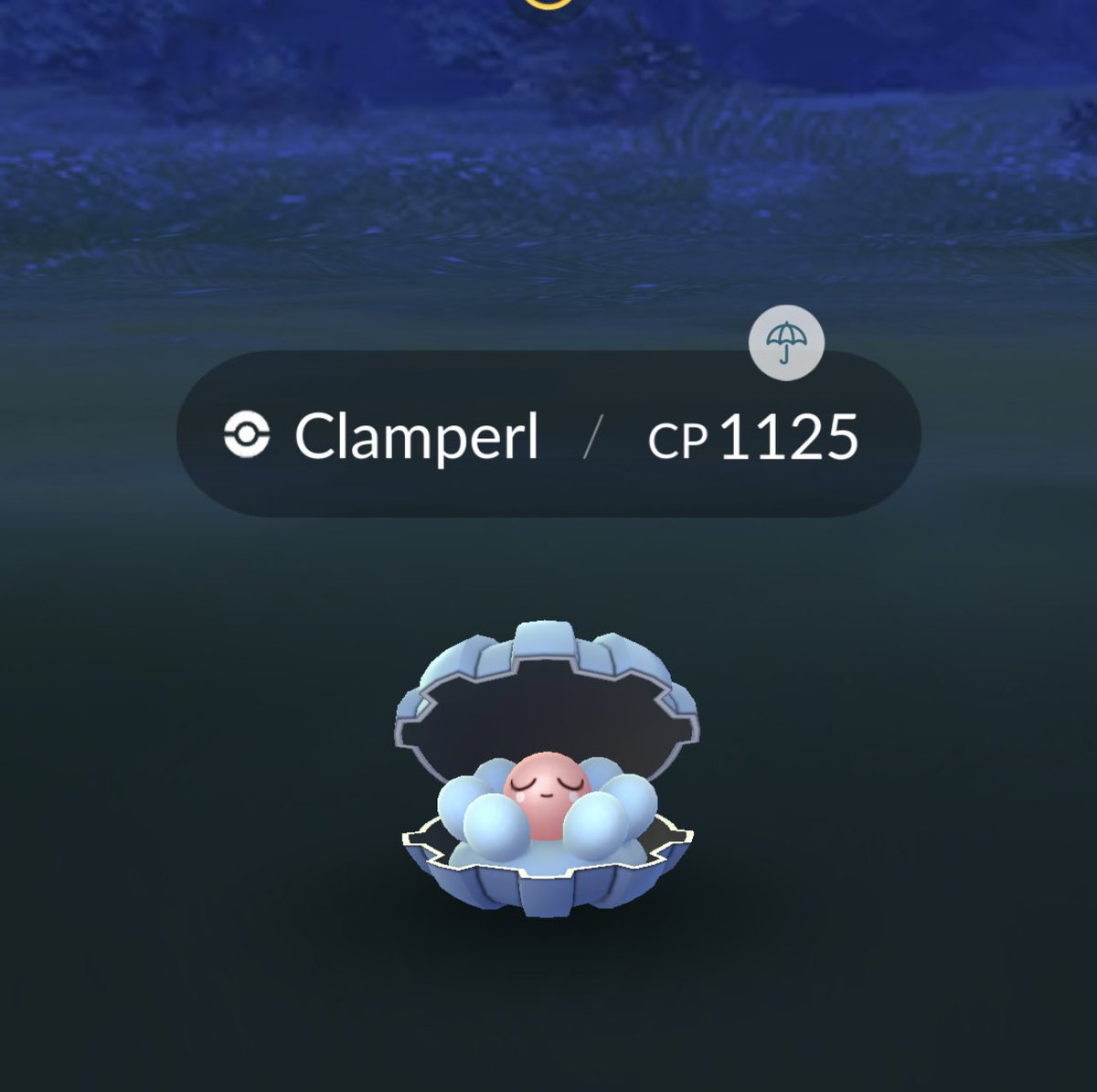 Arceus_World's tweet image. #Clamperl 💯✨1125 L32 BOOSTED

53.48059,-2.25090

#ShinyCheck 

#Alola 
#ポケモンGO 
#RarePokemon #PokemonGO #Pokemon 
#PokemonLegendsArceus   #PokemonLegendenArceus   
#PokemonLEGENDS