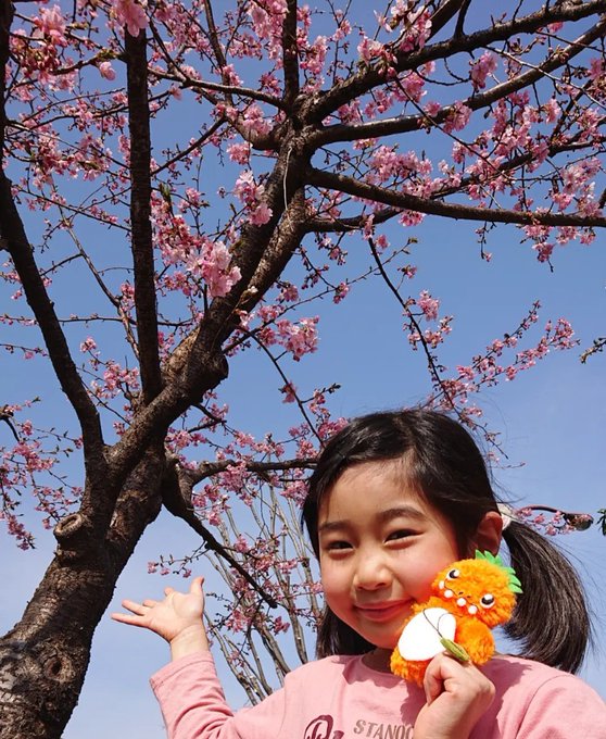 Twitterのコスプレ画像1