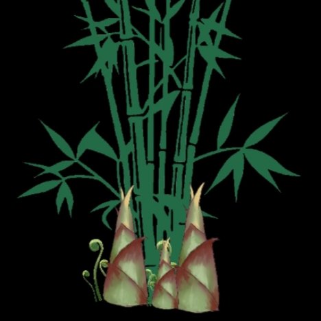 Chantavee39's tweet photo. Bamboo Coins are coins created to grow on their own.  When you hold this coin for a period of time  you will get coins  bambooshot/Obs  1Obs=5USD and you can sell it to the coin maker.
https://t.co/mtQduM8bSZ https://t.co/rDFKbo3wSE