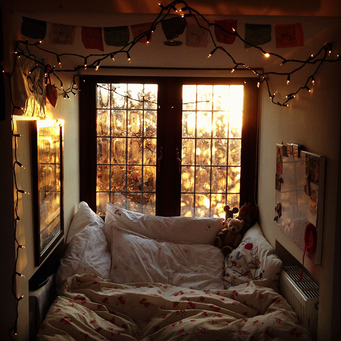 Howard_VanEs's tweet photo. So much cozy. https://t.co/os5QTHEEqS