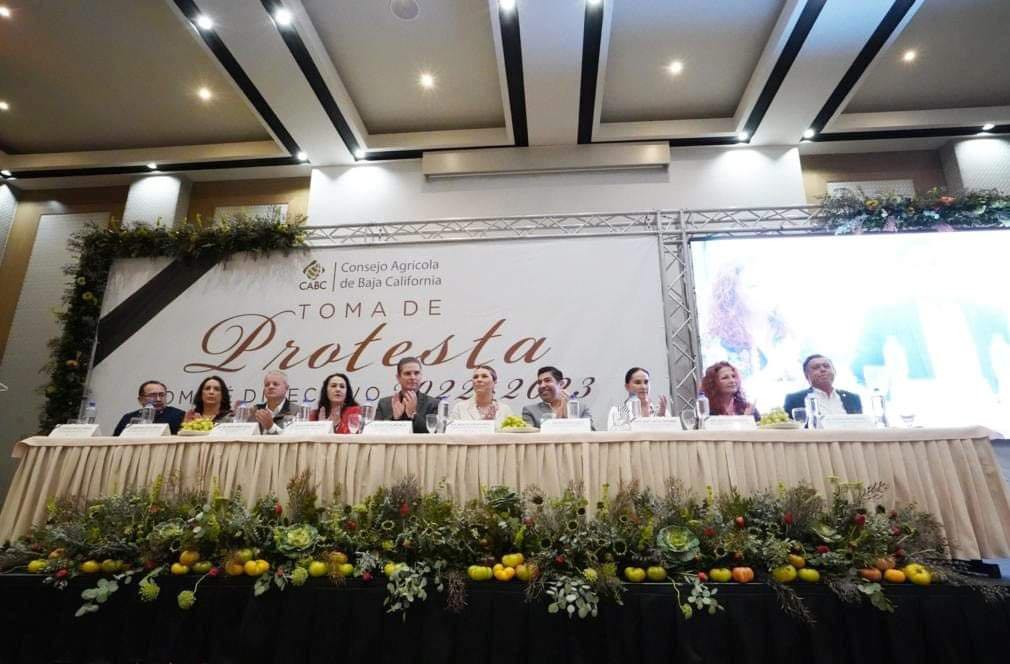 Ensenada EDC tweet media