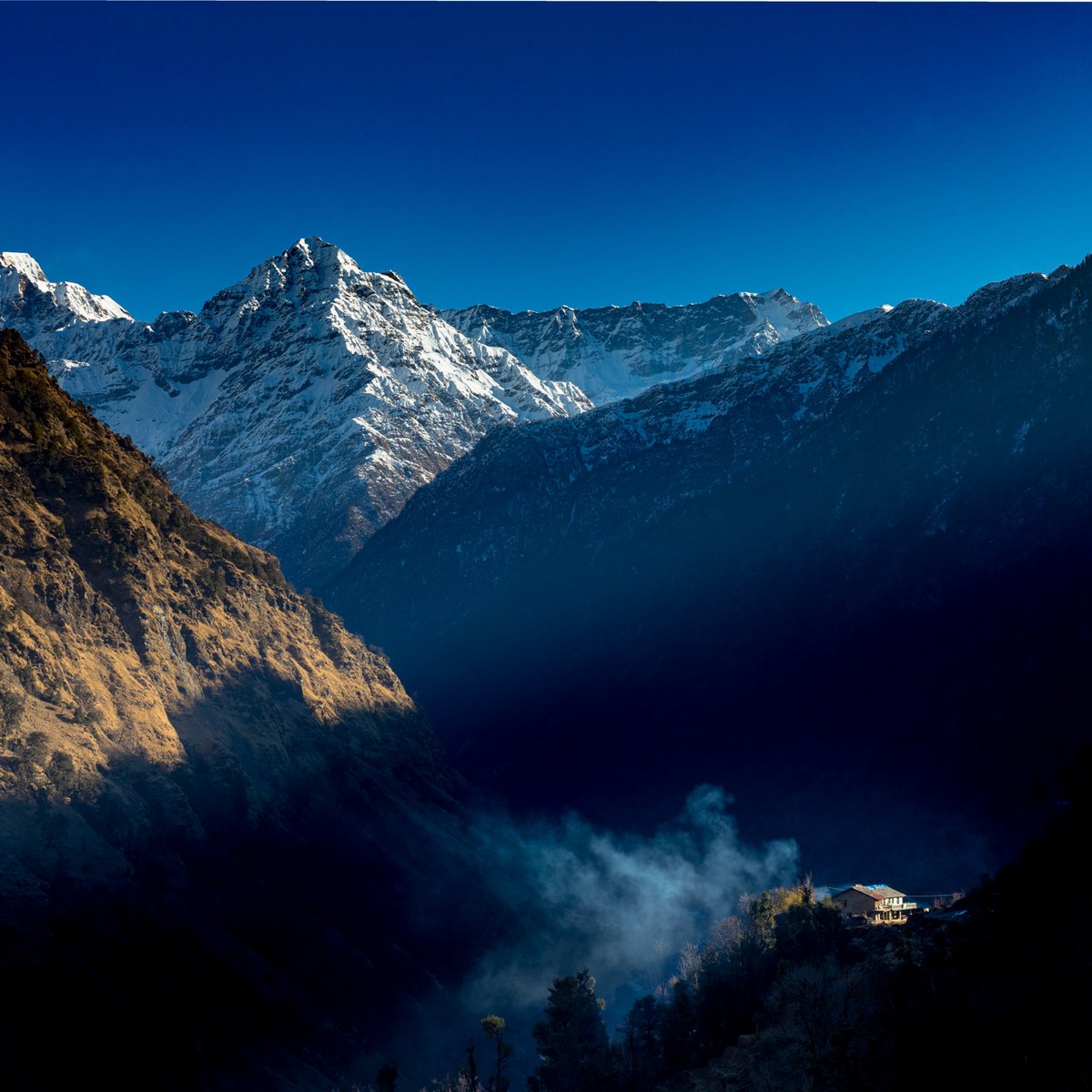 A clear sky welcomed us on the next day when we started trek to the top. Walking through lovely pathways of  Jaikuni was a refreshing experience.  
#photooftheday#indiatravelgram #indiagram #india_lens #himlayas #uttarakhand #trees #green #forests #kumaon #Jaikuni