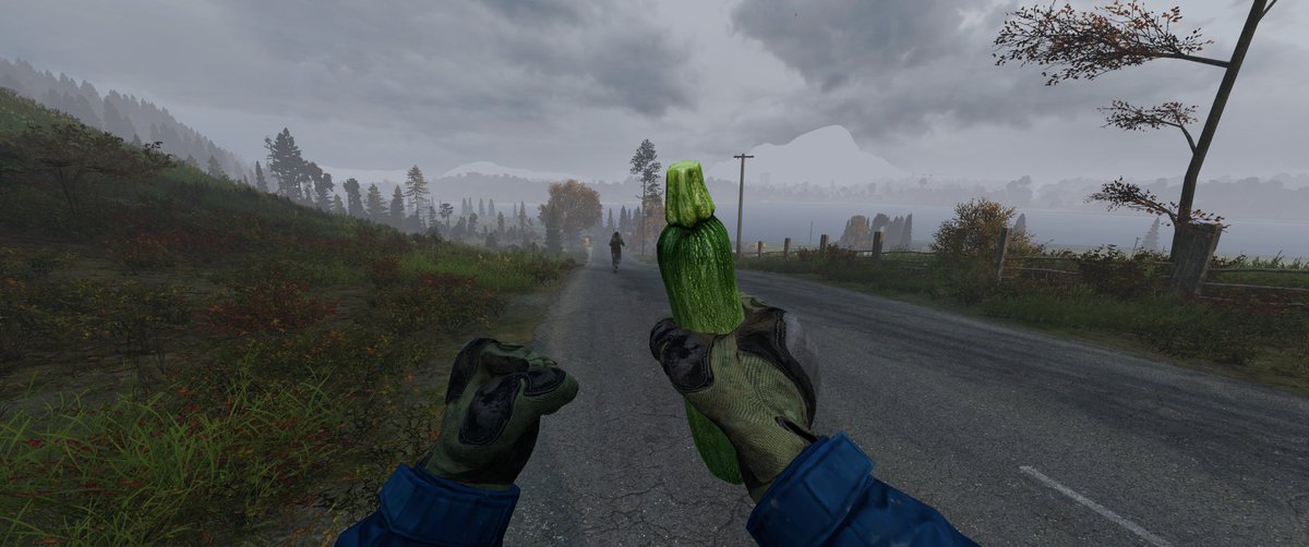 Spaggie's tweet image. Morning