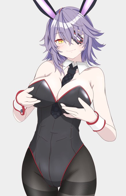 天龍バニィ
再掲ちょこっと手直し 