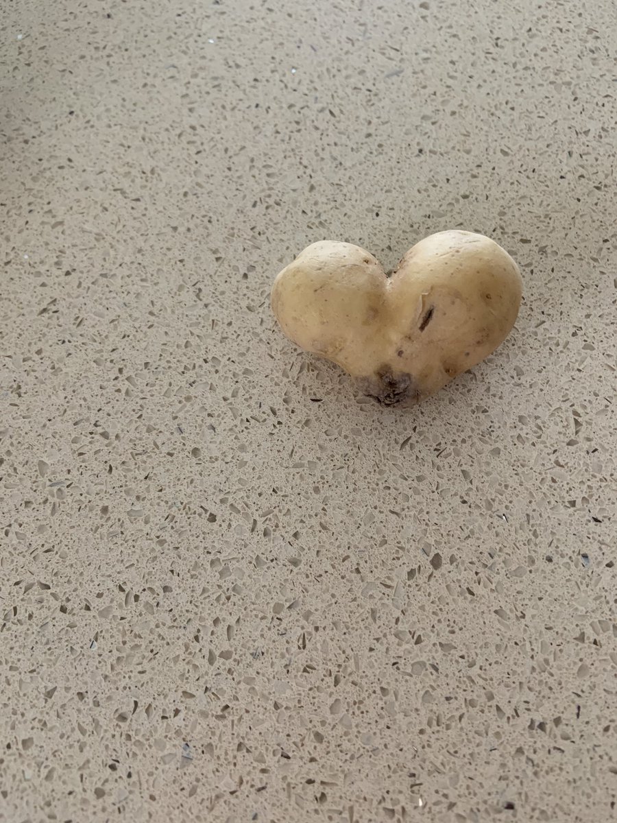 NurglKeser6's tweet image. Hımm..What I found inside a package of potatoes..How should I interpret it?🧐@AnastasiaSMihai #cardiologist #womenincardiology #selectiveperception