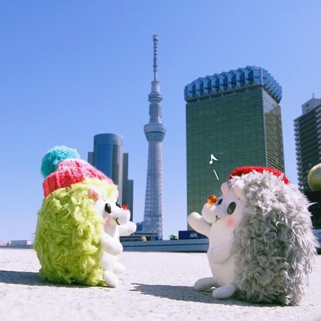 RainbowPockets's tweet photo. きもちいい♪
#ぬい撮り #rockandpaper #過去写真 #東京スカイツリー https://t.co/lZiVobFS2c