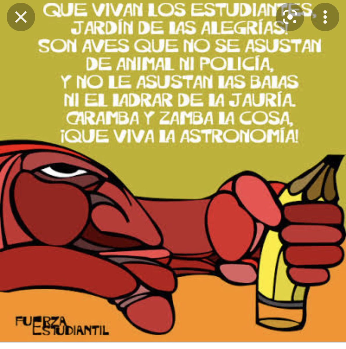 WarwickMurray's tweet photo. Transition in Chile began with students. Resisted Pinochet &amp; paid in tears &amp; lives, marched against neoliberal education for decades. Violeta Parra wrote ‘Me gustan los estudiantes’ (1962). 50 years on her plea crystallised. Students YOU CAN change the world! Please do so! https://t.co/DJCekZ8srN