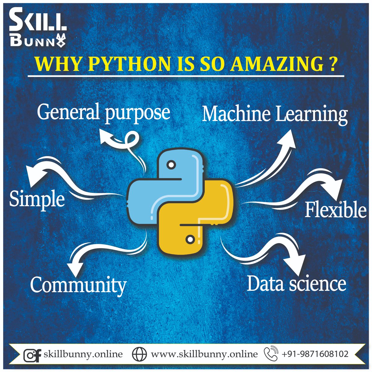 skill_bunny's tweet image. Do you want to learn Python ,Programming languages, Data Science, ML, Cyber Security ??
If "YES’' then you're at right place.
Visit in my profile and check my post's on it.
For more Follow @skill_bunny
#python3programming #python #cybercrime #blueteam #redteam #cybersecurity