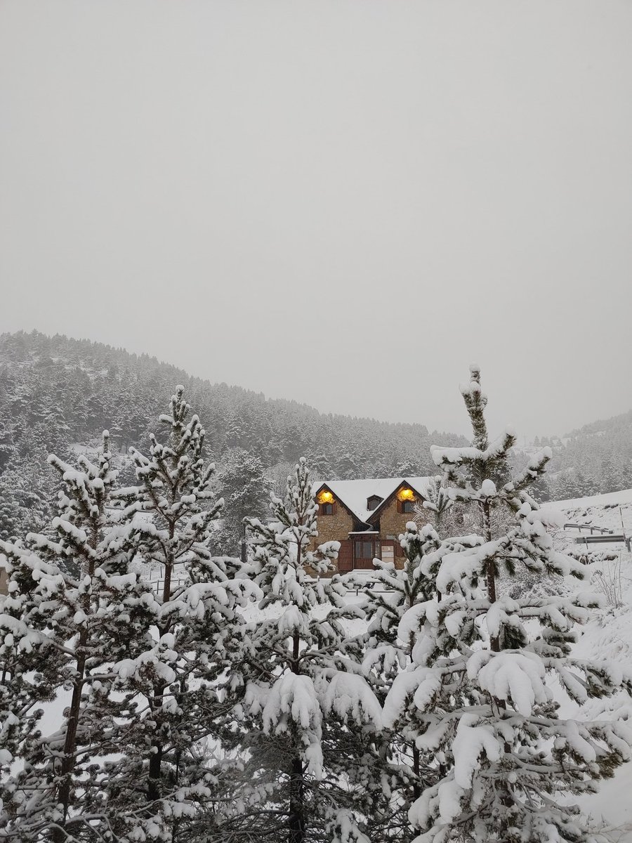 Nevada nocturna i matinal a #RasosdePeguera, el #Berguedà

🌨️ Previsió de neu durant tot el matí

☃️ 15-20 cm de neu nova

🚙 Precaució a la carretera, màquines treballant